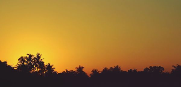 Silhouette trees against orange sky