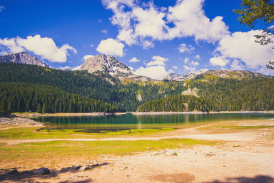 Scenic view of lake by trees against sky