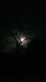 Low angle view of bare trees against sky at night