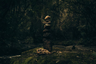 Stack of rocks in forest