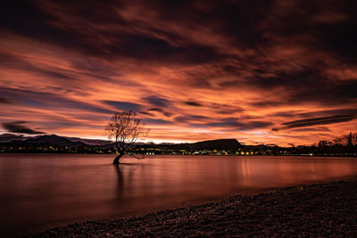 End of days sunrise over that wanaka tree