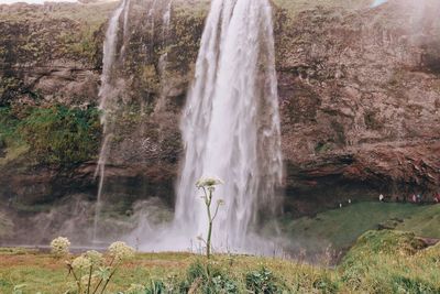 View of waterfall in forest