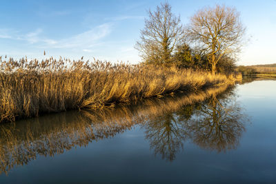 Views along the canal in worcester, uk