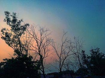 Low angle view of silhouette trees against sky at sunset