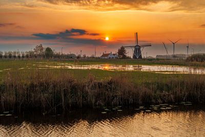 environment