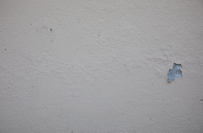 Close-up of white wall