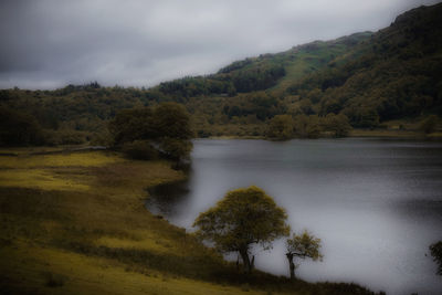 Scenic view of lake and trees against sky
