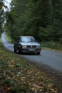 Car on road in forest