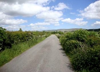 Road amidst green landscape against sky