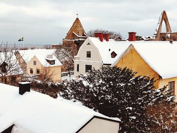 Houses and trees by building against sky during winter