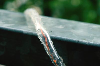 Close-up of ice crystals against blurred background