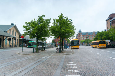 Cars on road by trees in city against sky