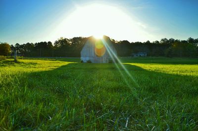 Scenic view of grassy field against sky at sunset