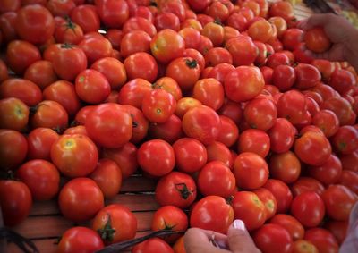 Cropped image of customer buying tomatoes at street market