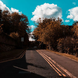 Road by trees against sky in city