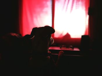 Close-up of red window