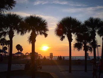 Palm trees at sunset