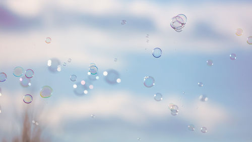 Close-up of water drops on bubbles