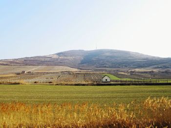 Scenic view of rural landscape