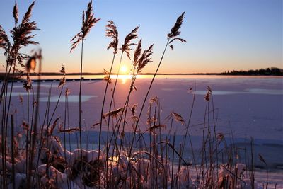 Scenic view of lake against sky during sunset