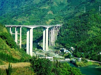 Bridge over river in forest