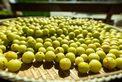 Close-up of fruits growing in vineyard