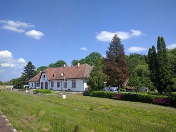 House by trees and grass in garden