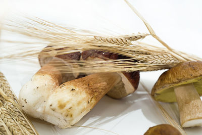 Close-up of food on table against white background