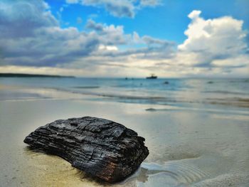 Scenic view of sea shore against sky