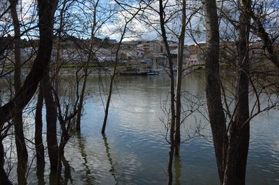 Reflection of buildings in river