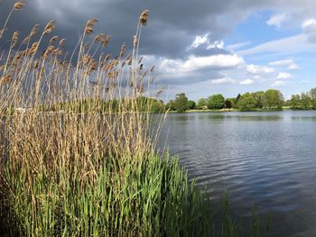 Scenic view of lake against sky