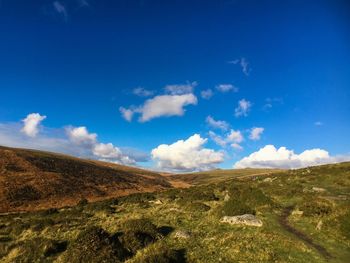 Scenic view of landscape against blue sky