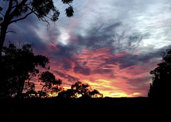 Silhouette of tree against cloudy sky