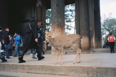 People standing against trees