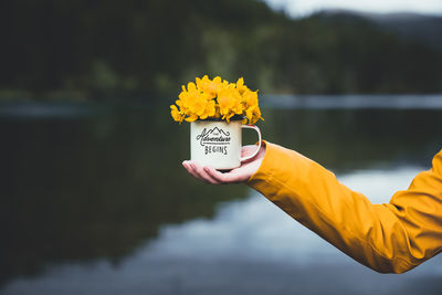 Close-up of hand holding mug with yellow flower against blurred background