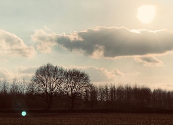Bare trees on field against sky during sunset