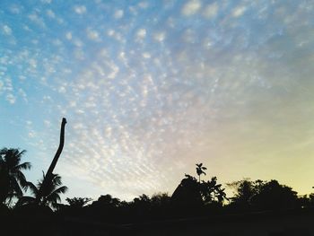 Low angle view of silhouette trees against sky at dusk