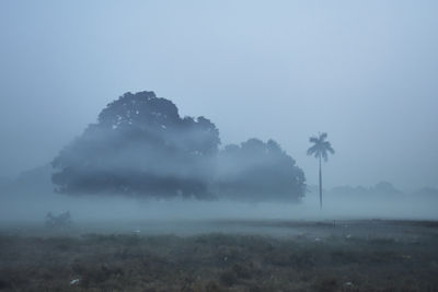 Trees on field against sky