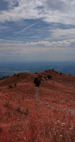 Scenic view of a mountain against sky