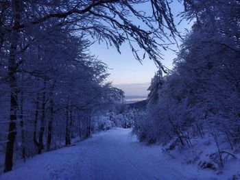 Snow covered landscape