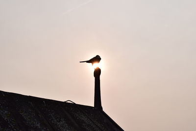 Low angle view of bird perching on roof against sky