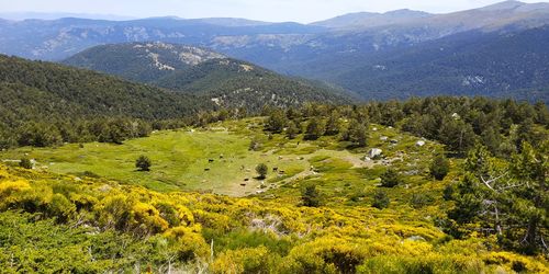 High angle view of trees and mountains