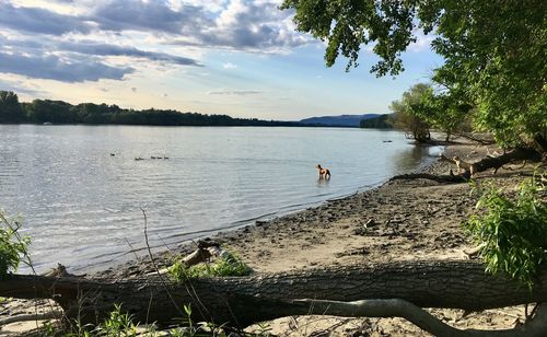 Scenic view of lake against sky