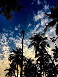 Low angle view of palm trees against cloudy sky