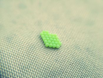 High angle view of vegetables on white surface