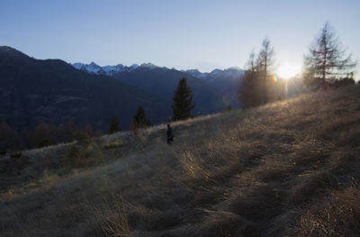 Scenic view of landscape against clear sky