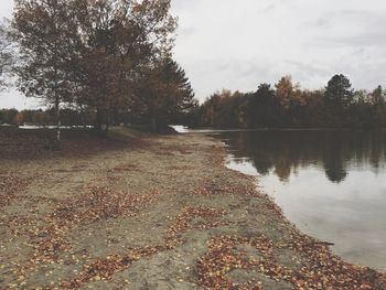 Reflection of trees in lake