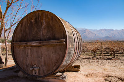 Wine plantation and barrels in cafayate argentina