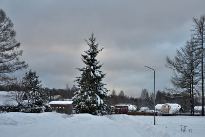 Snow covered houses and trees against sky