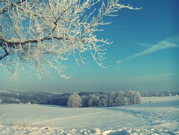 Bare tree against sky during winter